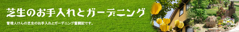 �Ő��̂�����ꃍ�S�^�C�g��