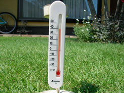 芝生の上の温度計