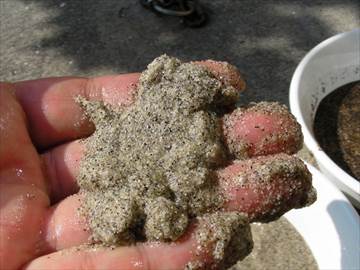 水を含んだ砂状目土