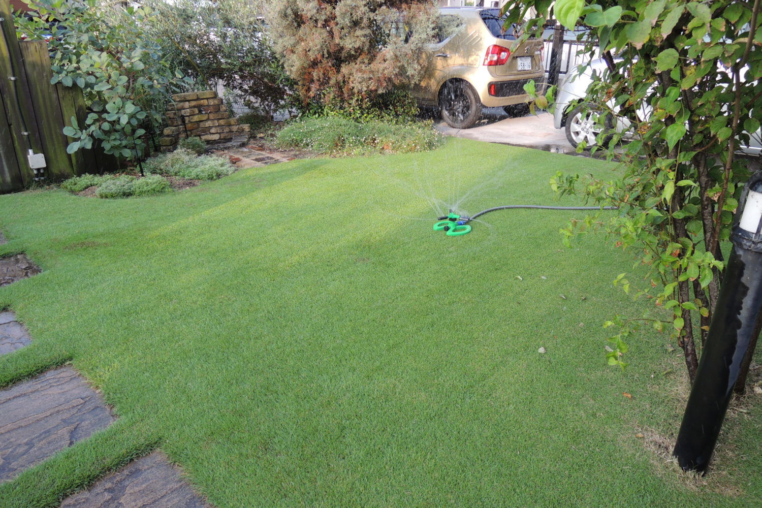 8月の芝生の手入れ 基本作業と注意点 芝生のお手入れとガーデニング