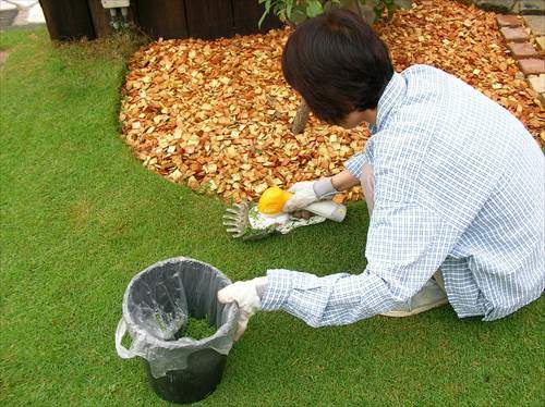 芝生のレイアウトを考える 芝生のお手入れとガーデニング