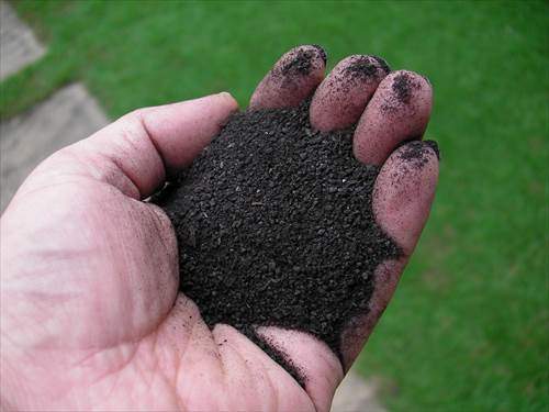 スーパーグリーンフードは良質な堆肥（土壌改良剤）
