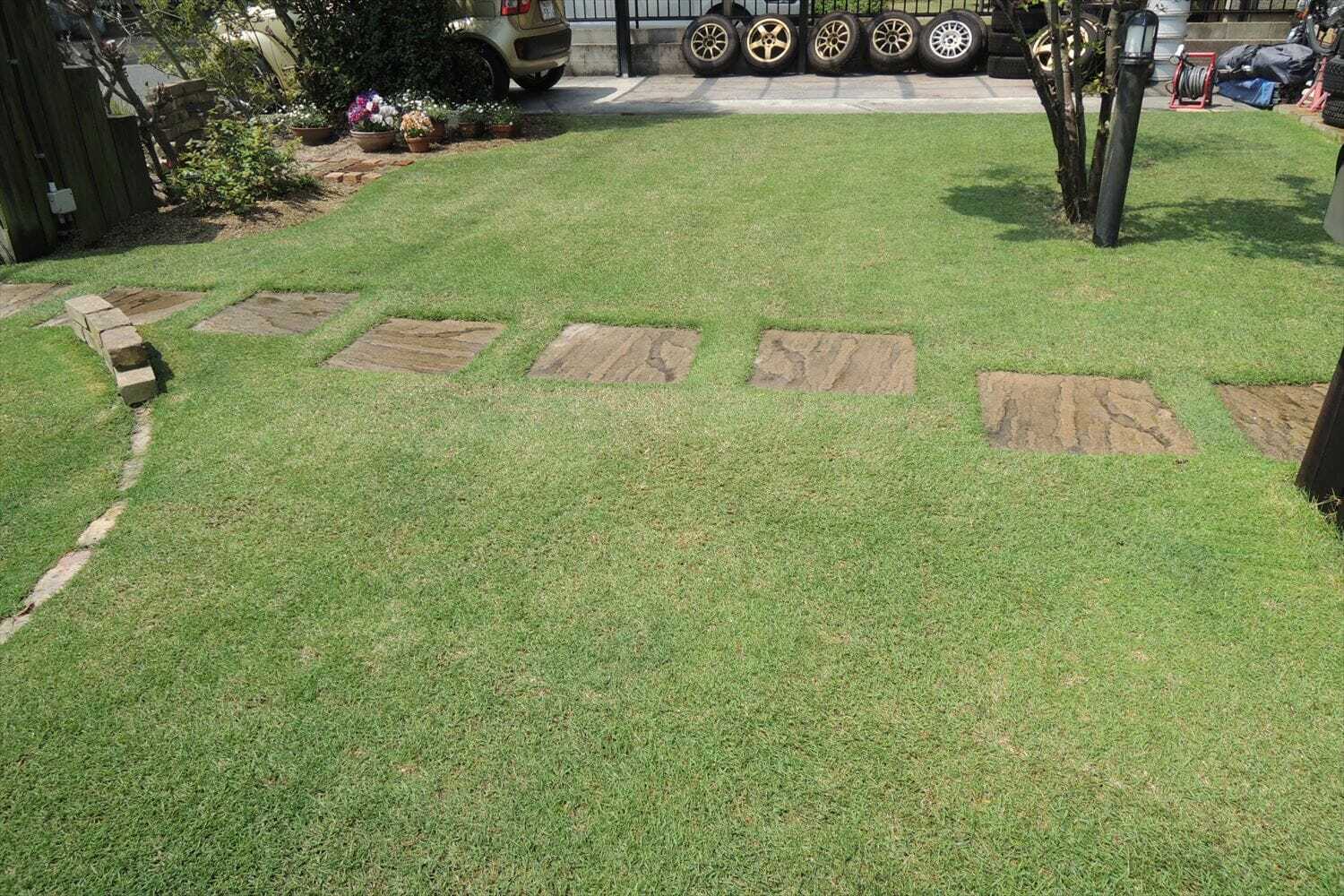 芝生用除草剤の散布と姫高麗芝の初芝刈り 芝生のお手入れとガーデニング