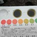土壌pHの測定
